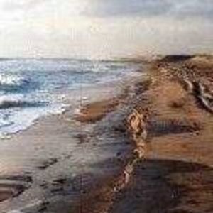 Meet your Posher, Sonya